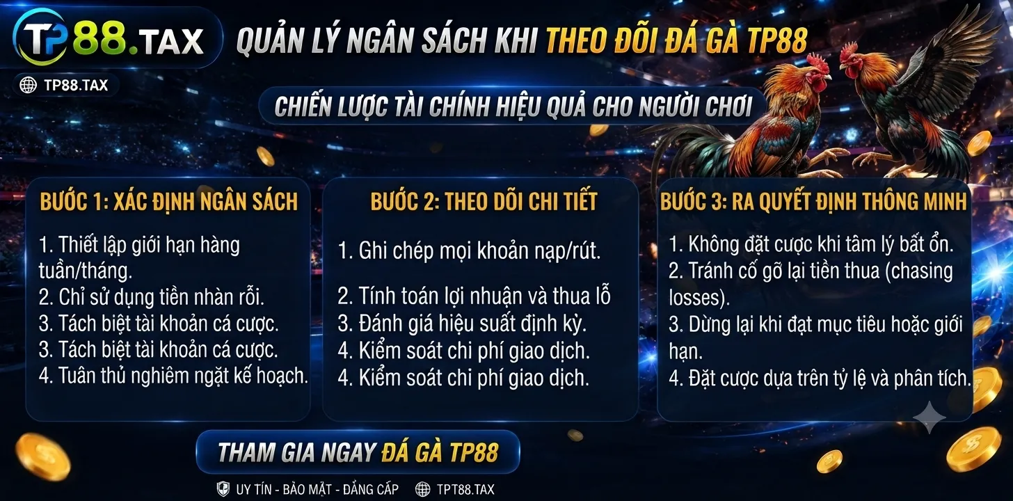 Quản lý ngân sách khi theo dõi đá gà TP88